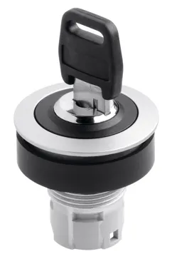 RRJSSA25 Schlegel Schlüsseltaste links rastend, rechts tastend silberfarben Typ RRJSSA25 Schlegel