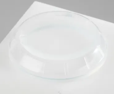 TK28S Dichtungskappe Schlegel
