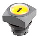 QRTM_GN.jpg