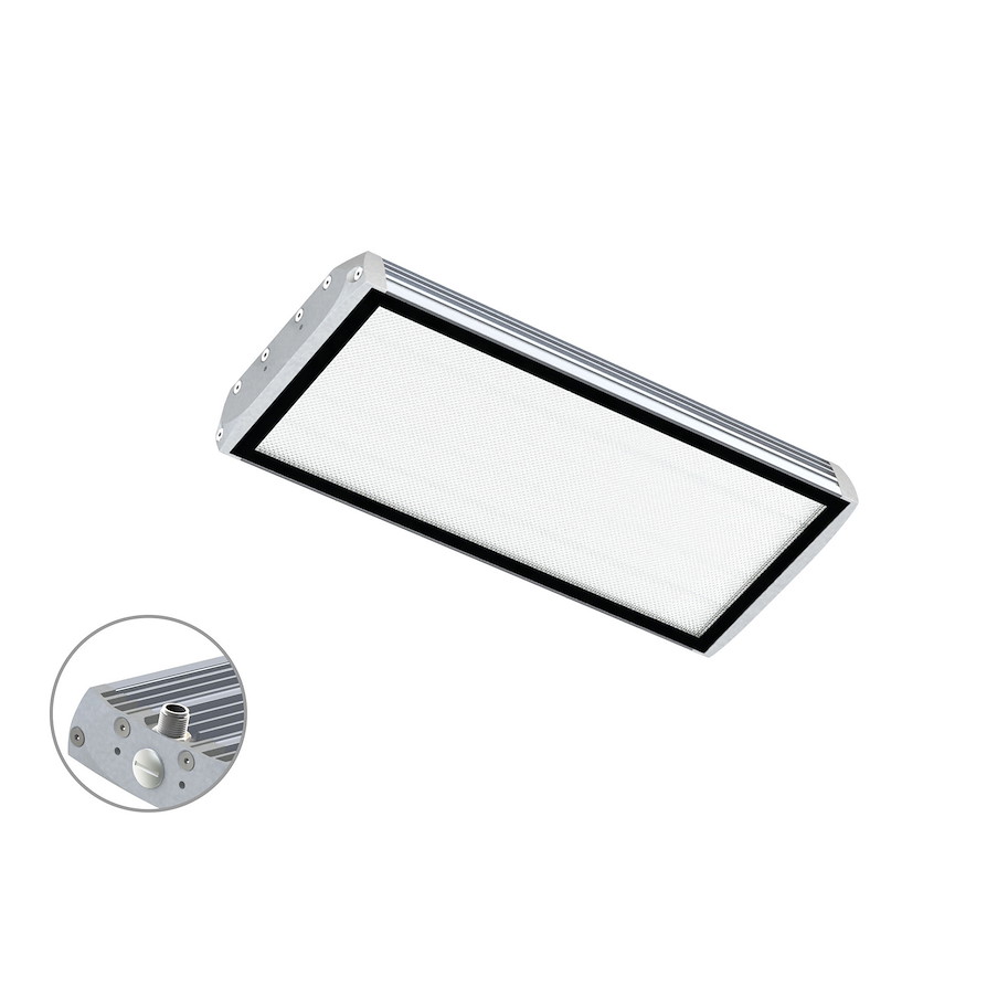 Maschinenleuchte FIELDLED EVO Aufbau M12-A rückseitig 370 x 150mm 100° ~43W 24V DC