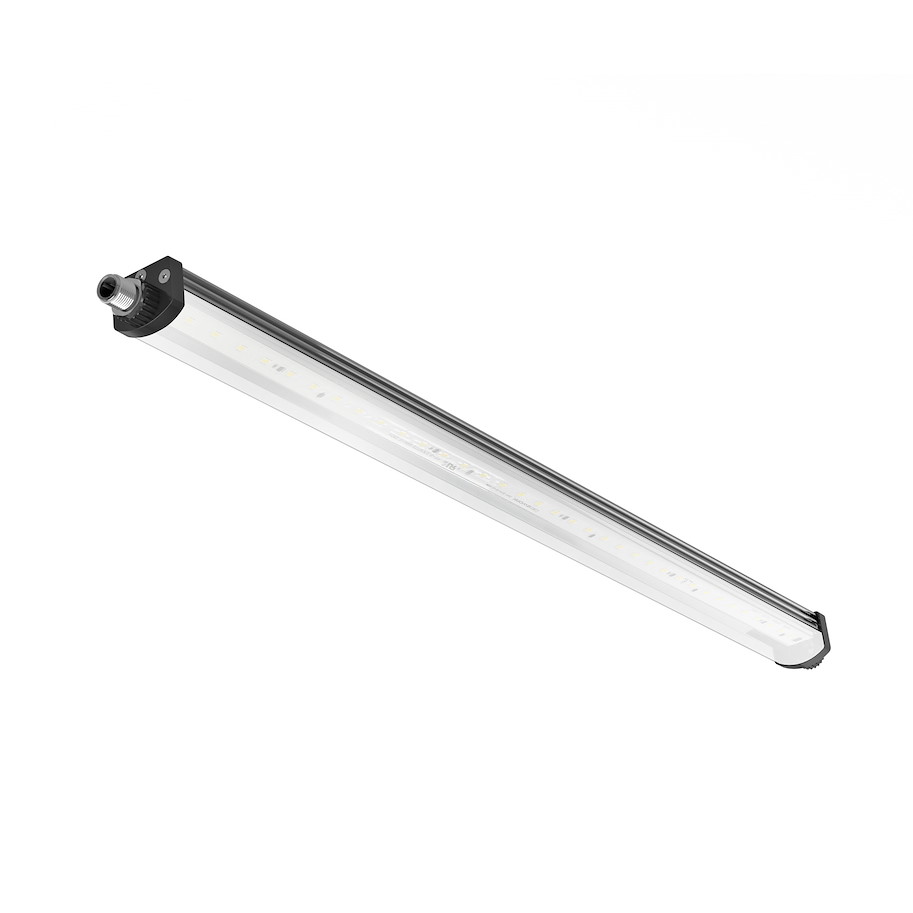 Anlagenleuchte LEANLED II Basic-Line, 520mm, Abdeckung klar, ~12W, M12-A, 24V DC