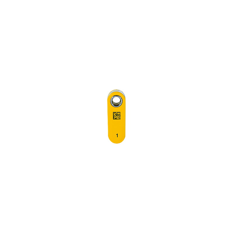 PITreader key ye 1
