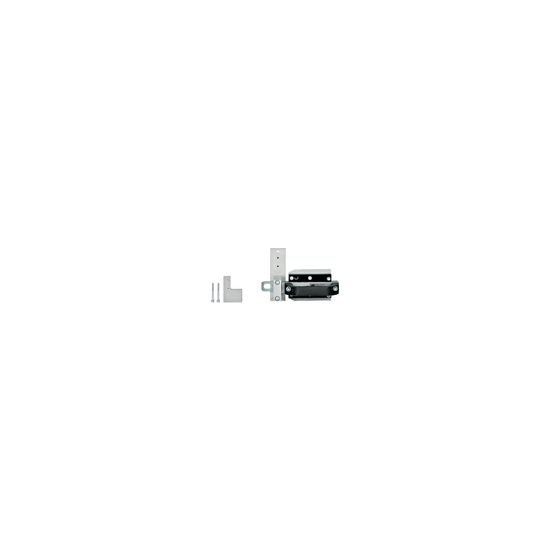 PSEN b3