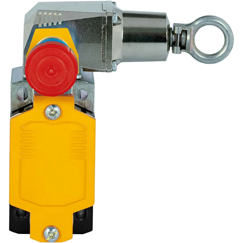PSEN rsm 1.0-300-0-1-0